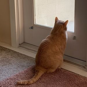 Meet your Posher, Wei